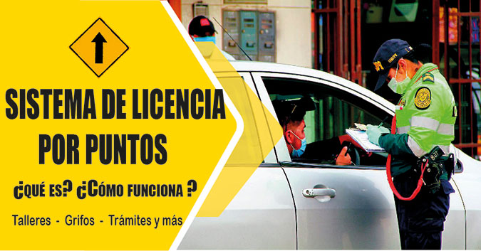Sistema de Licencia de Conducir por Puntos